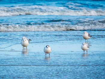 10 Tage Auszeit am Meer