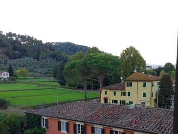 Italienische Eleganz - 4 Tage in Lucca mit Frühstück