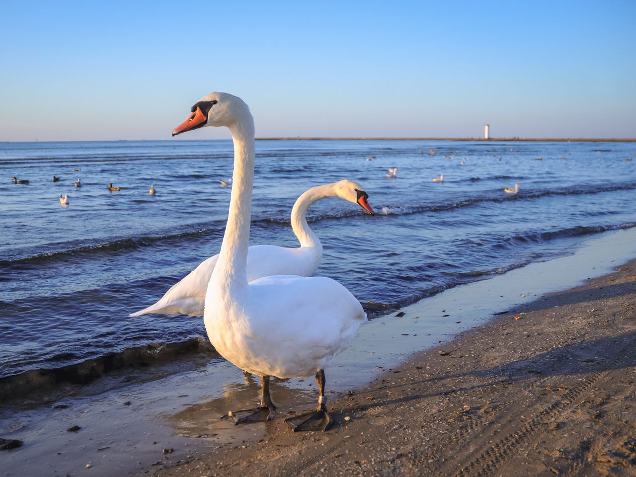 Ostsee-Woche in Swinemünde inkl. Frühstück