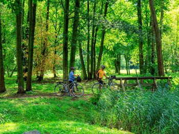 3 Tage Therme & Genuss nahe der Spreewald-Therme