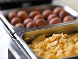 2 Tage im grünen Bezirk Berlin Köpenick mit Frühstück