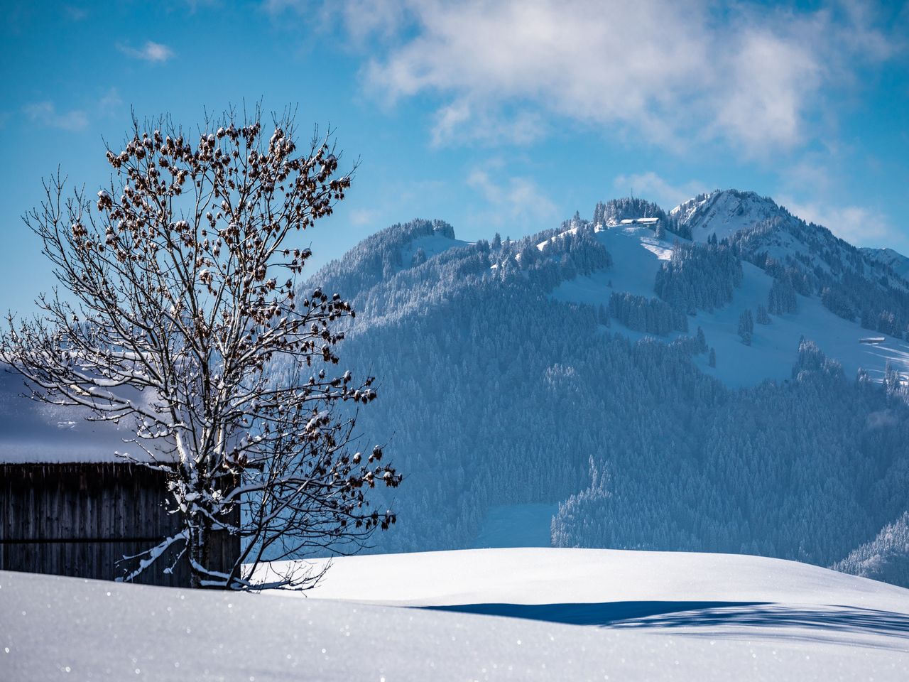 Golfgenuss im Allgäu vor alpiner Kulisse