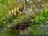 Spreewald-Erholung inkl. Spreewaldkahnfahrt 2 Nächte