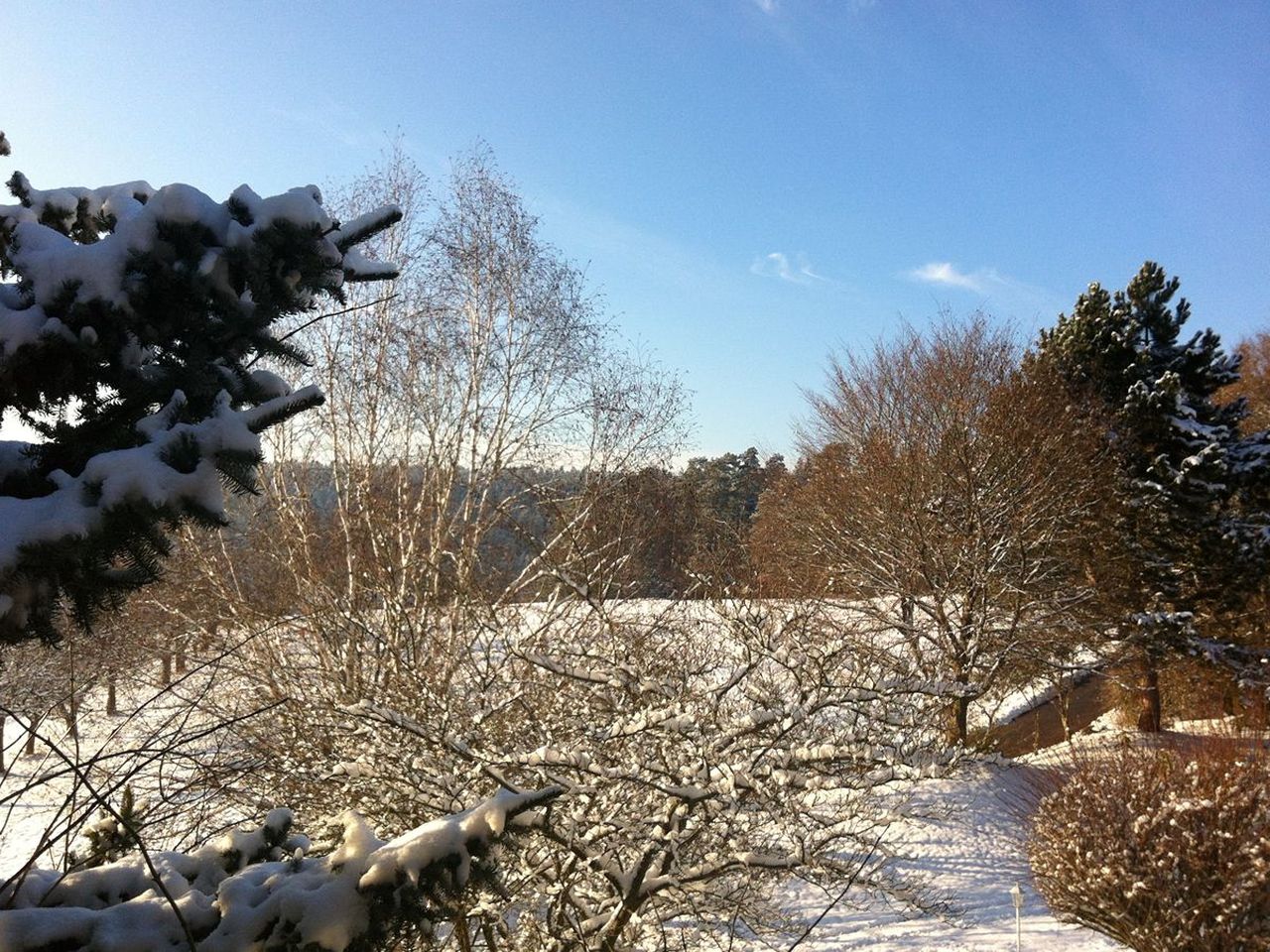 Die Große Auszeit im Schwarzwald