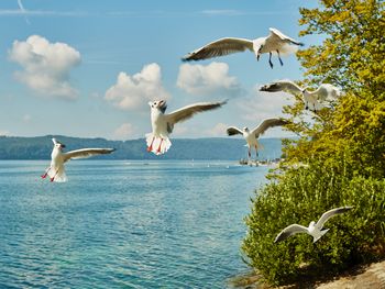 3 Tage Wandern zwischen Alpen und Bodensee