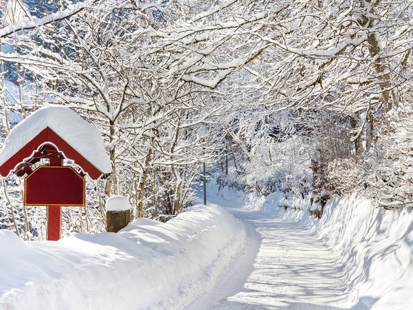 4 Tage Harz-Winterschnäppchen inkl. Halbpension Plus in Ellrich, Thüringen inkl. Halbpension Plus