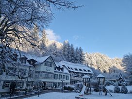Weihnachten im Waldhotel