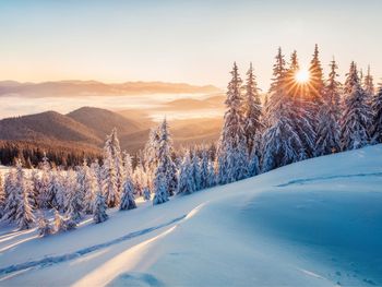 Single Winterurlaub am Wilden Kaiser