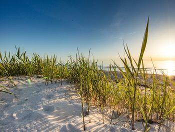 Auszeit auf Sylt in Strandnähe - 4 Tage