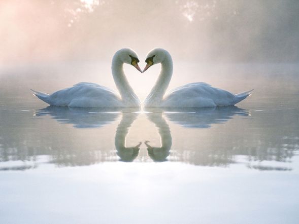 4 Winter-Spar-Tage am See inkl. Halbpension plus