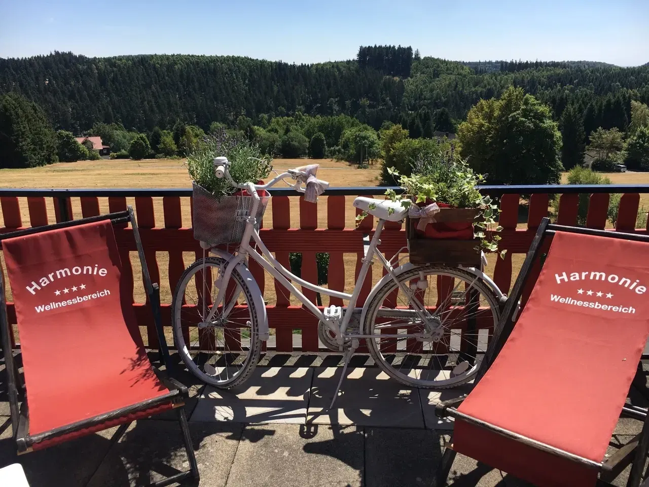 Romantik & Relax-Weekend im malerischen Harz