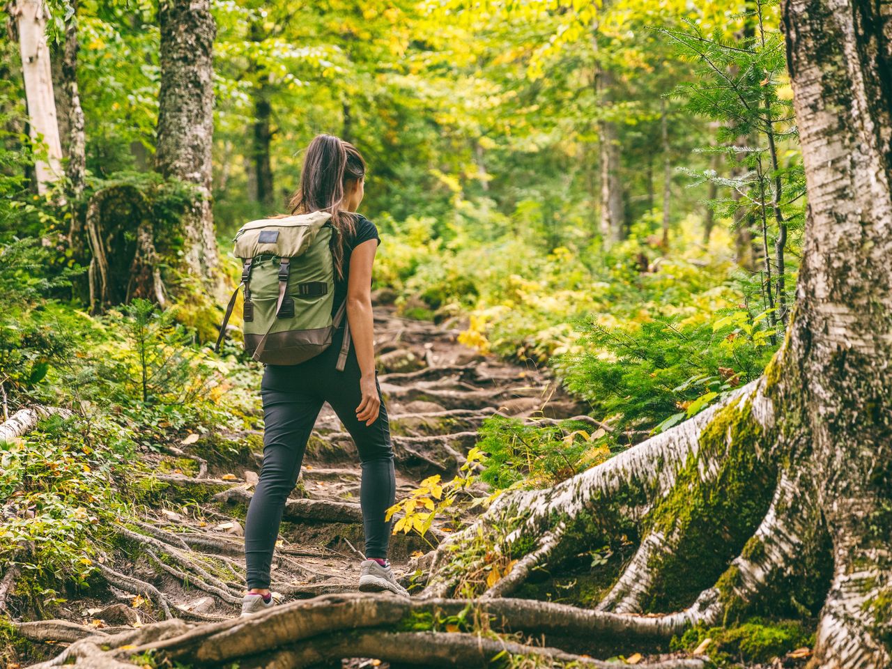 Wandern am Möhnesee