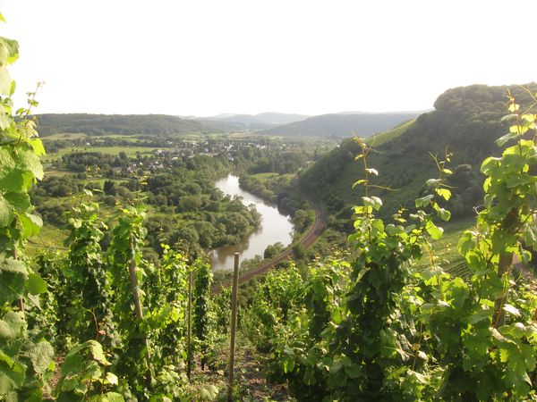 4 Tage Wanderbarer Hunsrück – Auf Spuren der Traumschleifen in Idar-Oberstein, Rheinland-Pfalz inkl. Frühstück