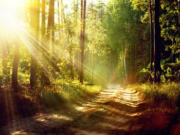 Nikolaus Verwöhnwochenende