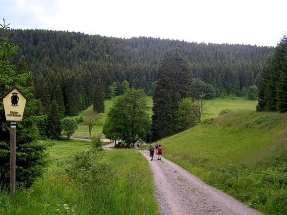 5 Tage Erholung in der Natur des Erzgebirges