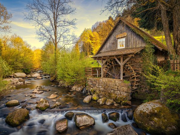 8 Tage günstiger Wanderurlaub im Schwarzwald in Todtmoos, Baden-Württemberg inkl. Frühstück