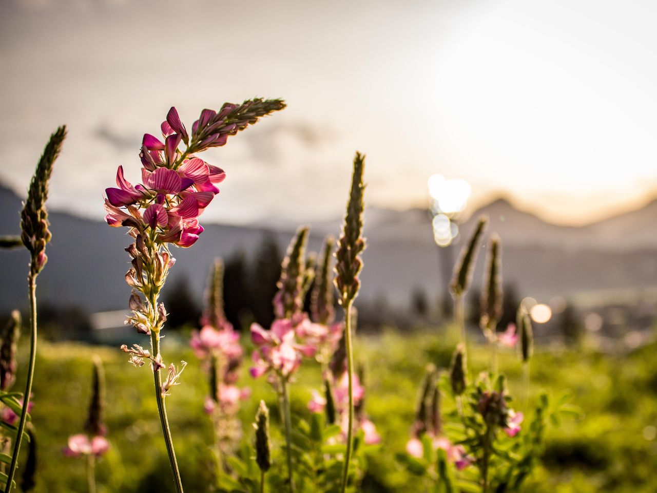 4 Tage Auszeit im wunderschönen Klosters-Serneus