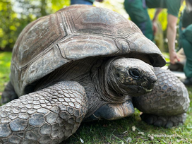 Tierpark und Tropen Aquarium Hagenbeck in Hamburg mit Hotel