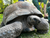 Tierpark und Tropen Aquarium Hagenbeck in Hamburg mit Hotel