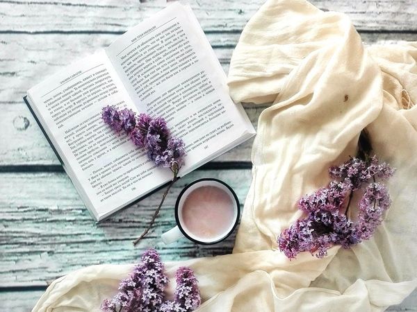 15 Tage bleiben inkl. Buch und Kuscheldecke in Wyk auf Föhr, Schleswig-Holstein