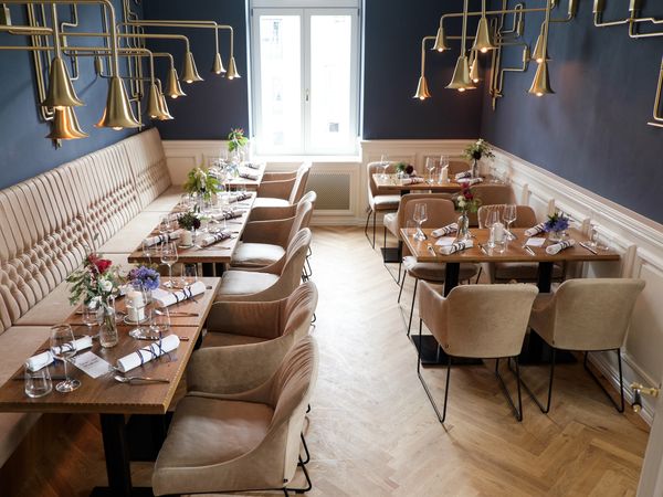 Vulkanring Vogelsberg | Bike & Hike in Alsfeld Halbpension