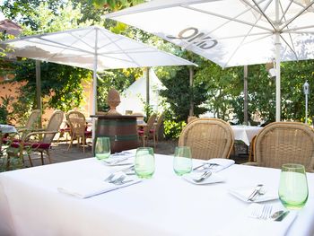 Auszeit mit Wein & Kulinarik - Freitags-Special