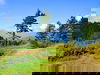 3 Tage Bayerischer Wald preiswert mit All-Incl.