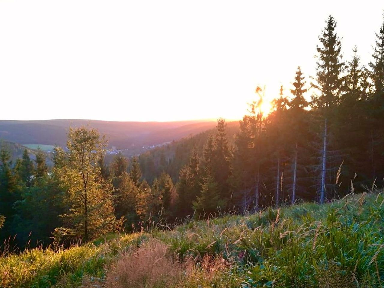 4 Tage Thüringer Wald mit Kneipp-Kräuter-Wanderung