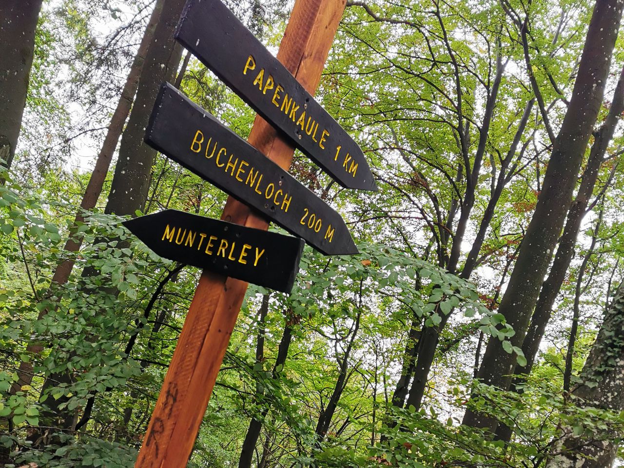 Adventswochenende in der Eifel