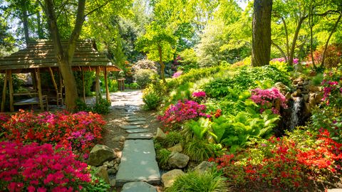 Botanischer Garten Prag