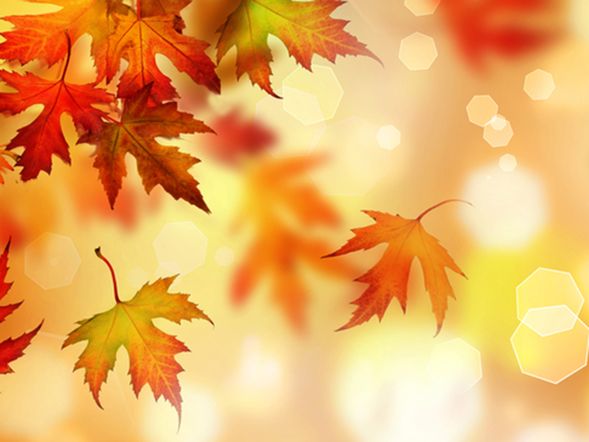 Herbstzauber am Beetzsee - 3 Tage inkl. HP plus