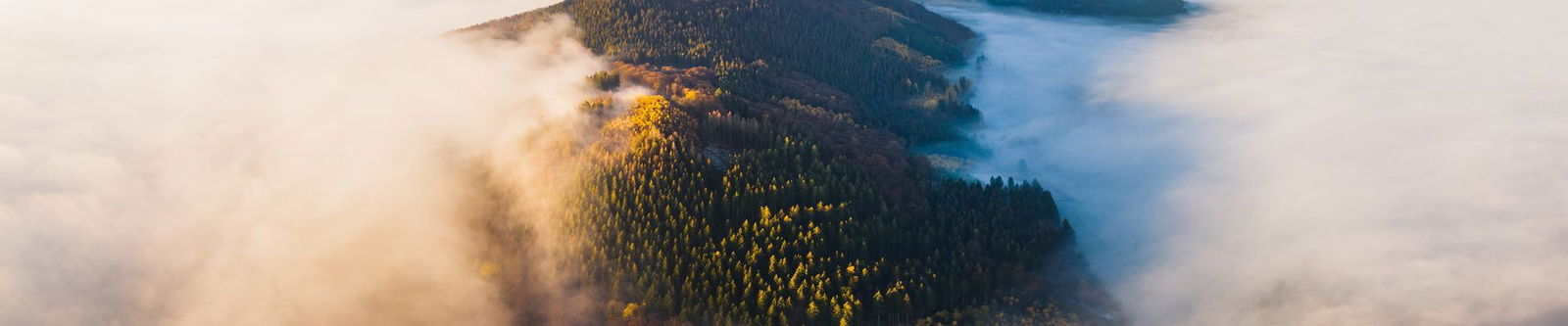 Winterberg