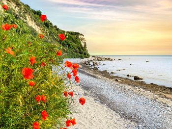 4 Tage einfach mal nach Rügen