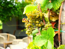 2 Tage Kurz mal weg an die malerische Mosel