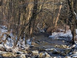 5 Tage Naturerlebnis Teutoburger Wald mit HP