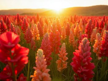 Langer Feiertagsurlaub am See inkl. HP plus & Pool