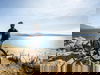 Am Strande des Gardasees - 6 Tage 