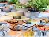 3 Tage Palmengarten Frankfurt Special