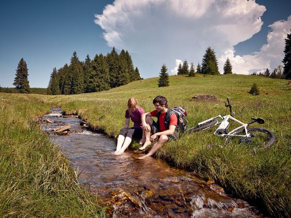 5 Tage Sommerfreizeit – 5 Nächte in Aue-Bad Schlema, Sachsen inkl. Halbpension