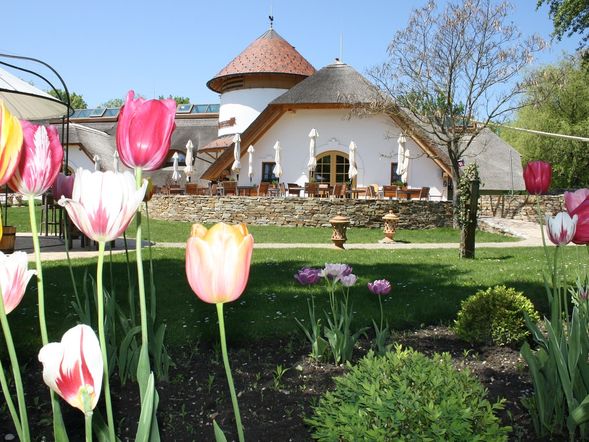 Natur erleben & entspannen im Seewinkel | 4 Tage
