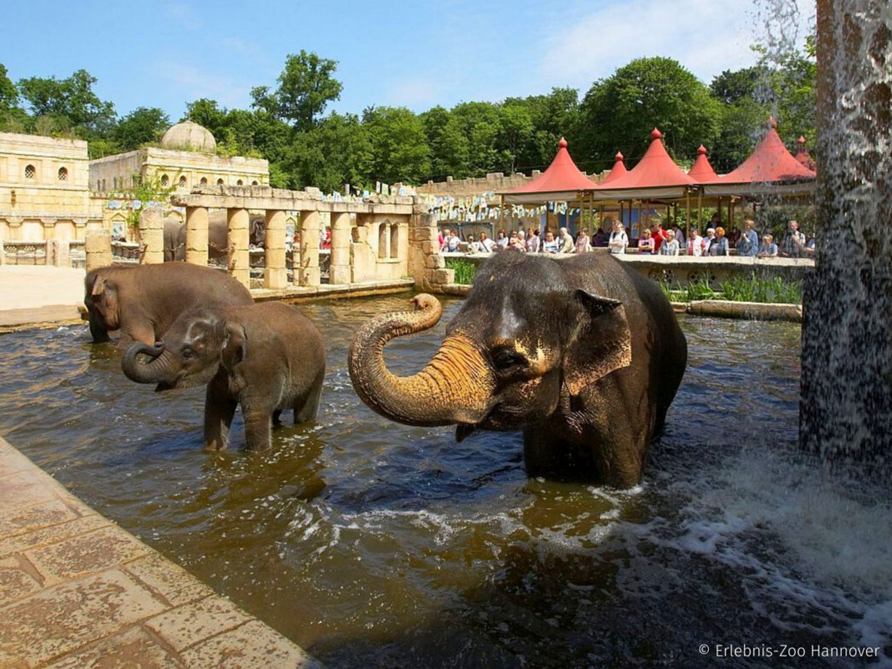 Tierische Magie im Erlebnis-Zoo Hannover /3 Tage