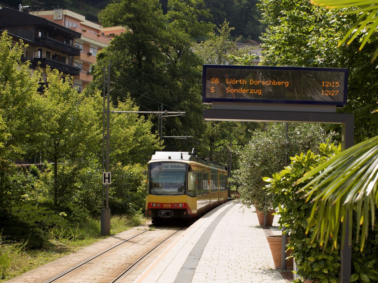 4 Tage und 3 Nächte - Schwarzwald tanken