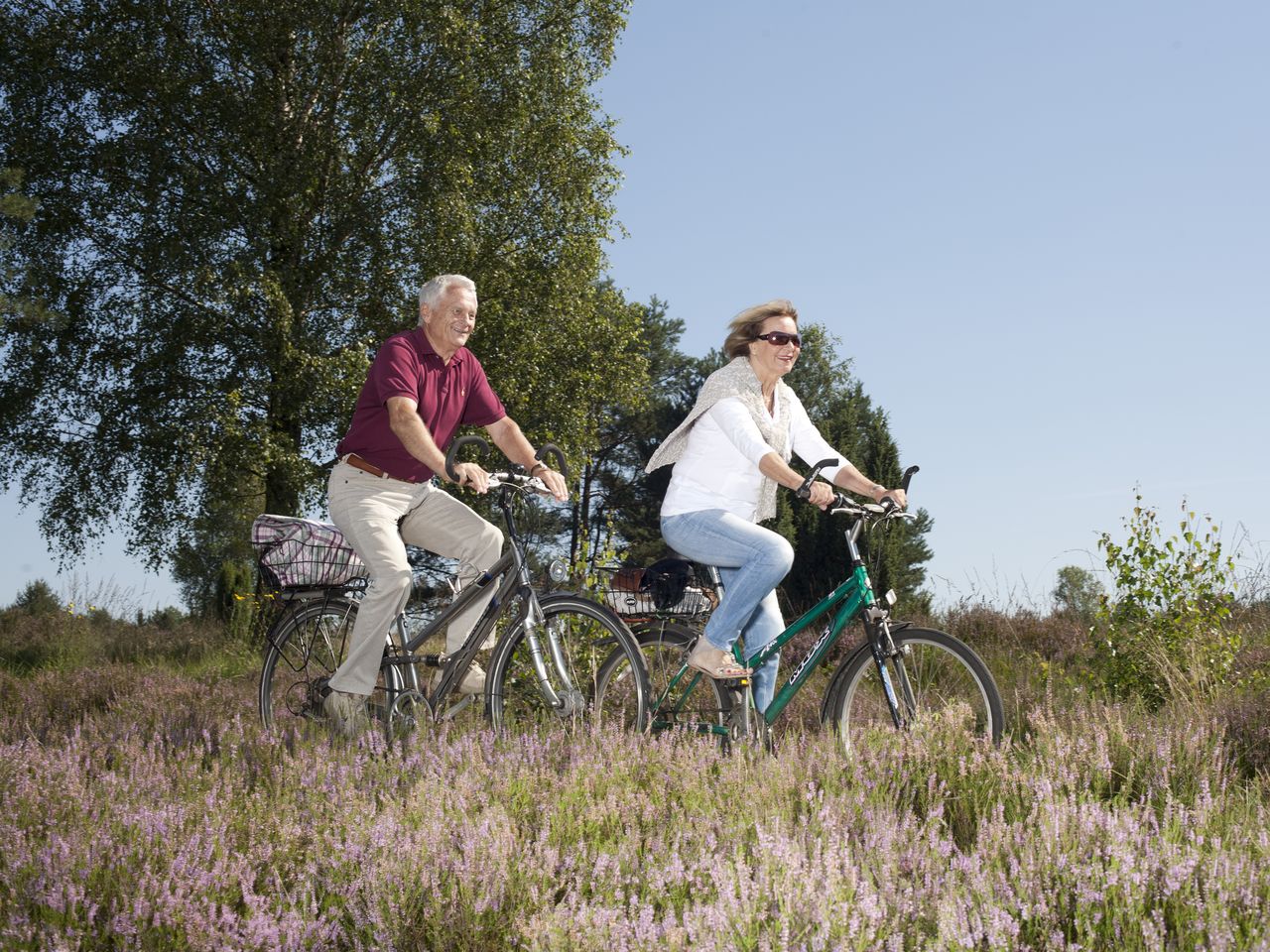 Wandern in der Lüneburger Heide