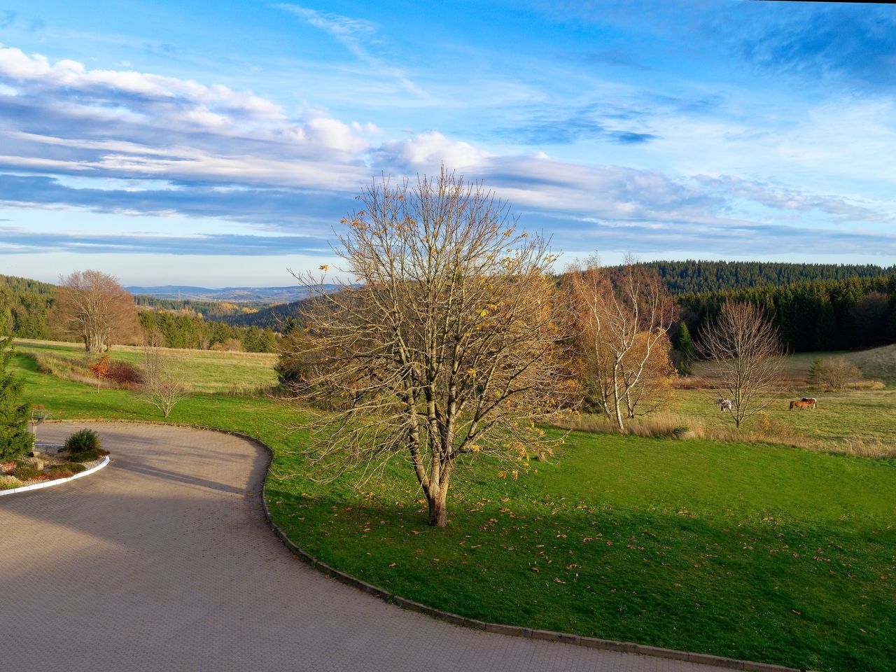 Thüringer Naturwoche am Rennsteig