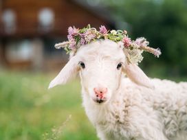 Harzer Osterkurztrip