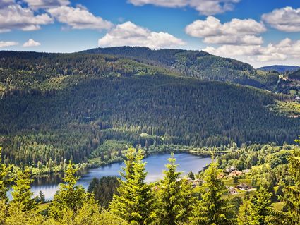 Wutachschlucht Wander-Special 5 Tage