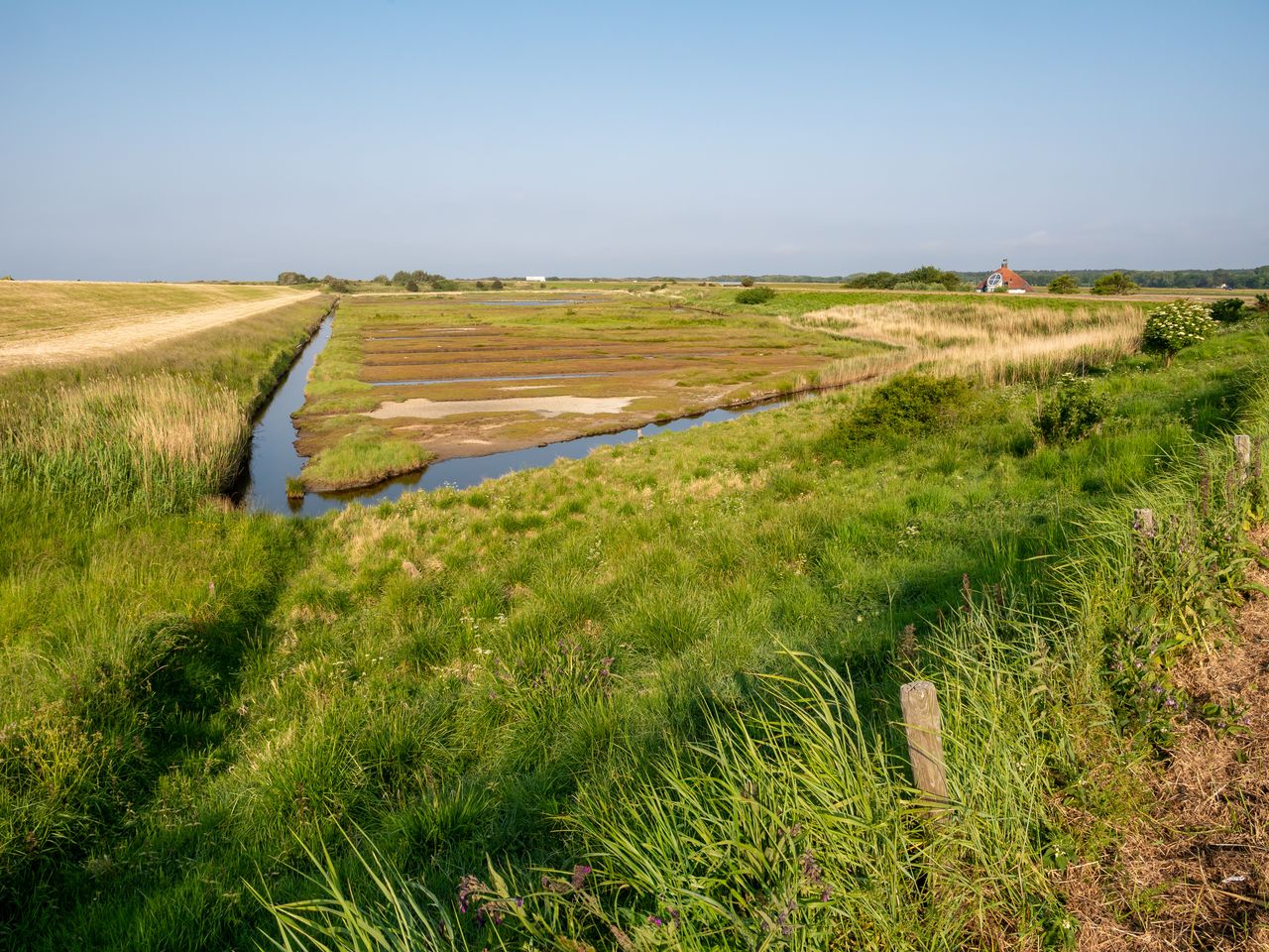 5 Tage am Strand von Zeeland