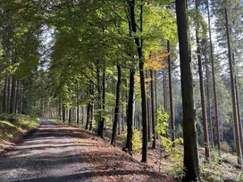 7 Tage nahe des Rothaargebirges im Sauerland