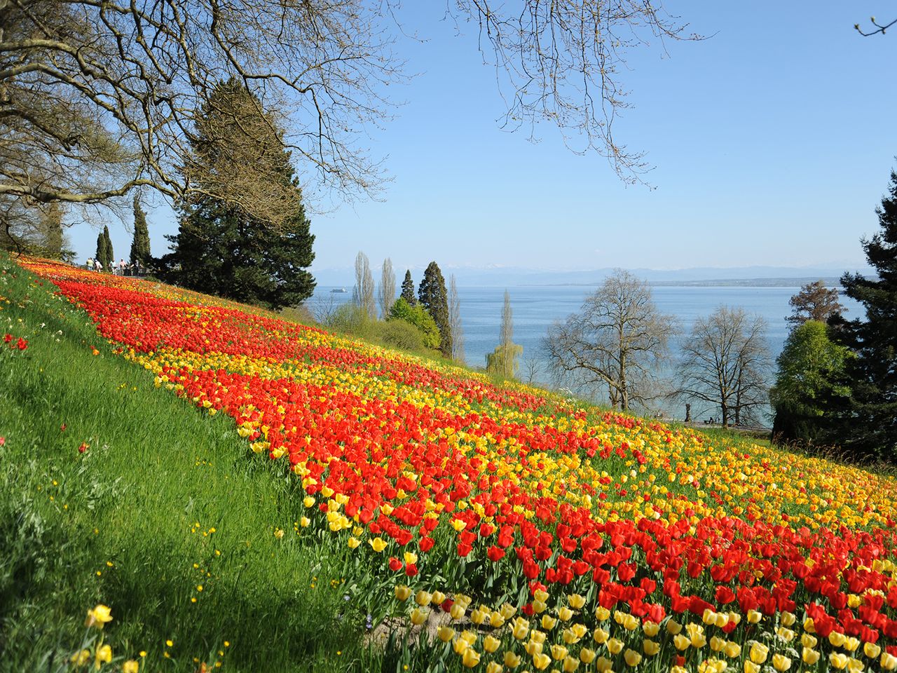 Blütenparadies im Bodensee - Insel Mainau 2xAE | 4 Tg