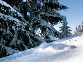 3 Entspannungs-Tage mit HP im Alpenpark Resort